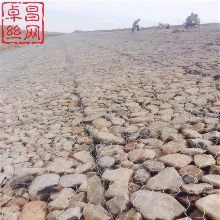 1628039197282065799.jpg 1375.jpg