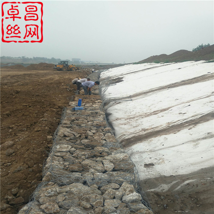 1628128229036068811.jpg 1769 (267).jpg