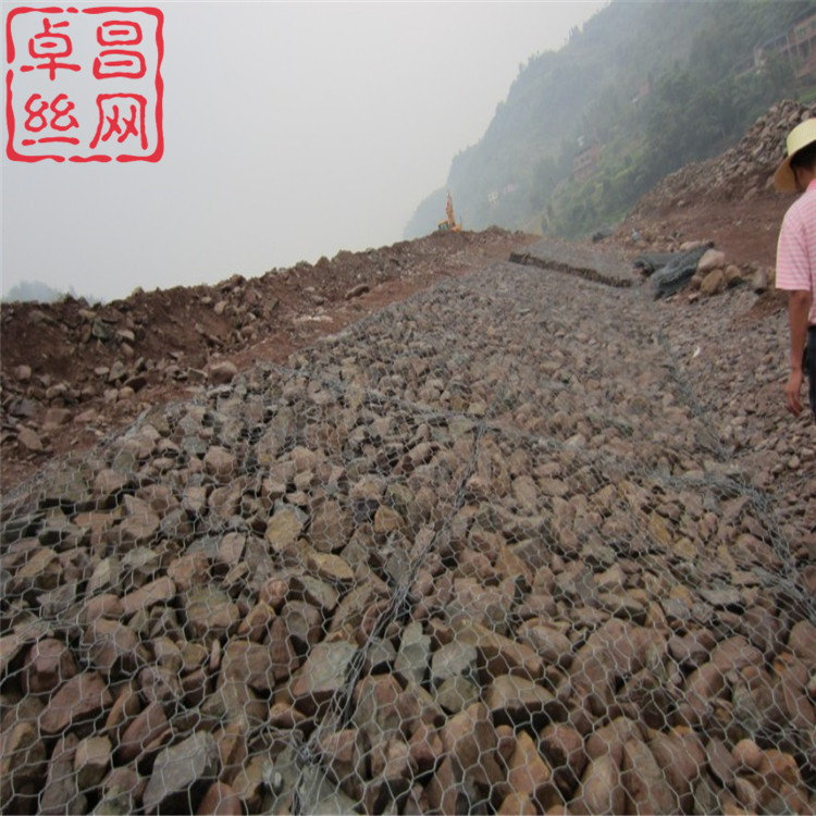 1690764034265062500.jpg 644.jpg